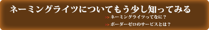 ネーミングライツについて詳しく知る